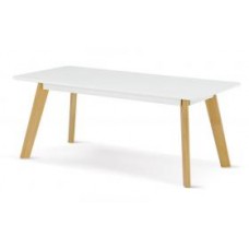 Belgium White & Oak Rectangular Coffee Table  (Eiffel Designer Eames Style).